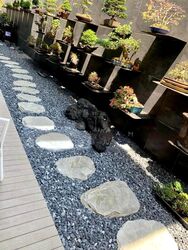 Transit Road (D26), Semi-Detached #502303381